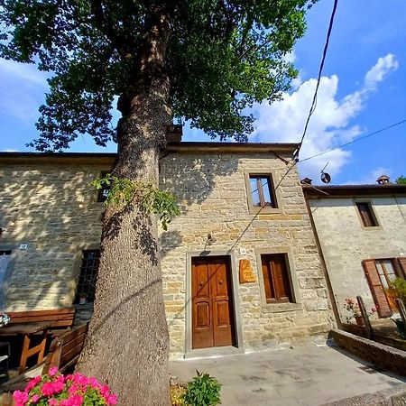 Casina La Quercia Apartment Santa Sofia Exterior photo