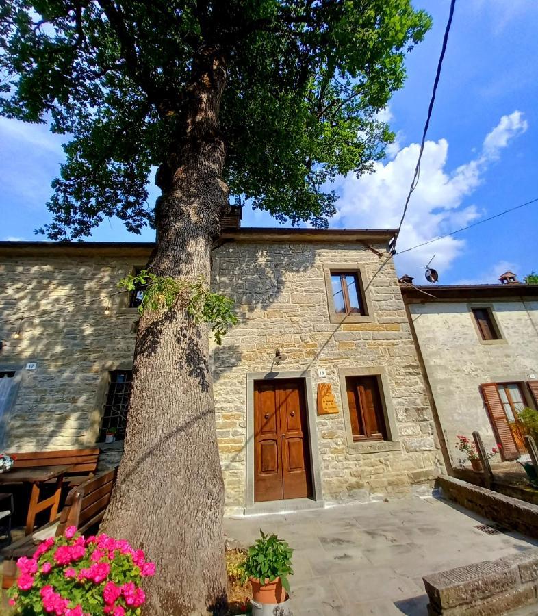 Casina La Quercia Apartment Santa Sofia Exterior photo