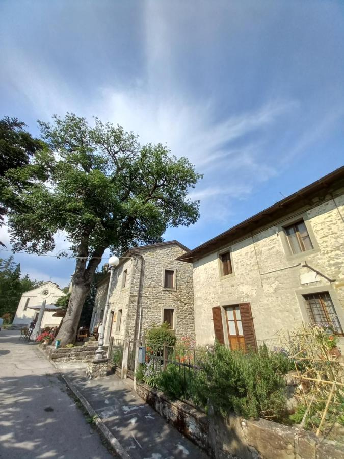 Casina La Quercia Apartment Santa Sofia Exterior photo